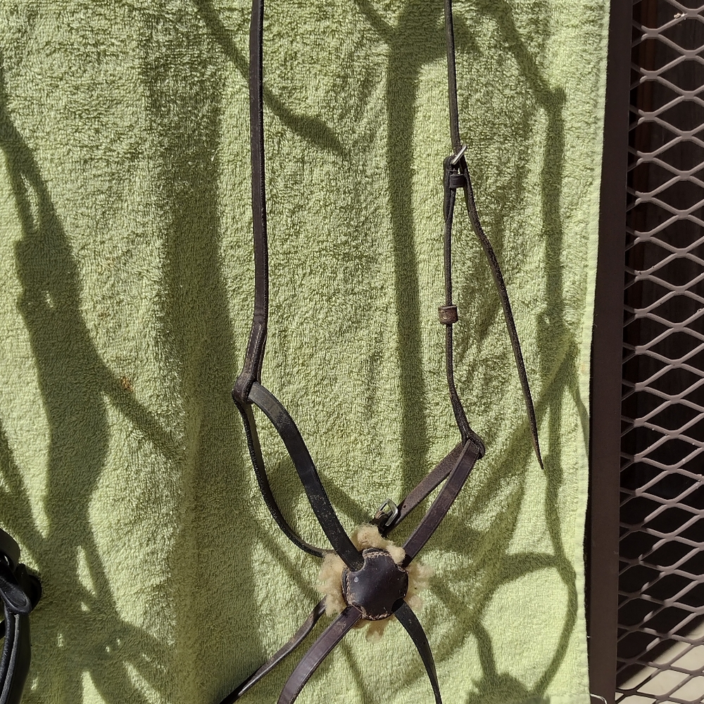 Horse size figure eight noseband